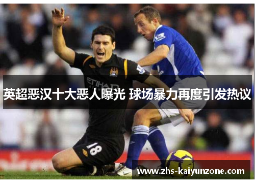 英超恶汉十大恶人曝光 球场暴力再度引发热议